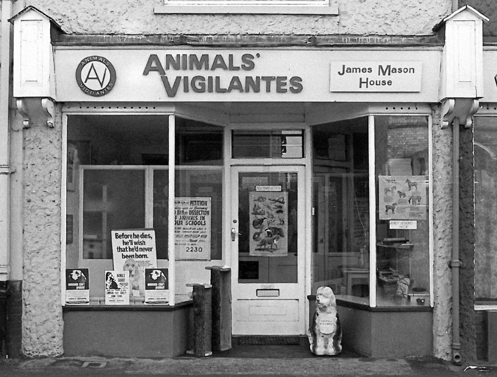 The Animals' Vigilantes shop